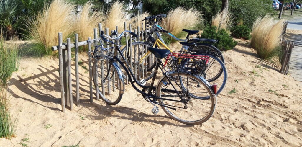 Range-vélos en eucalyptus